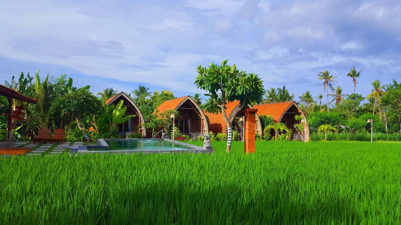 Umma Bali Menjangan Retreat Hotell Banyuwedang Eksteriør bilde